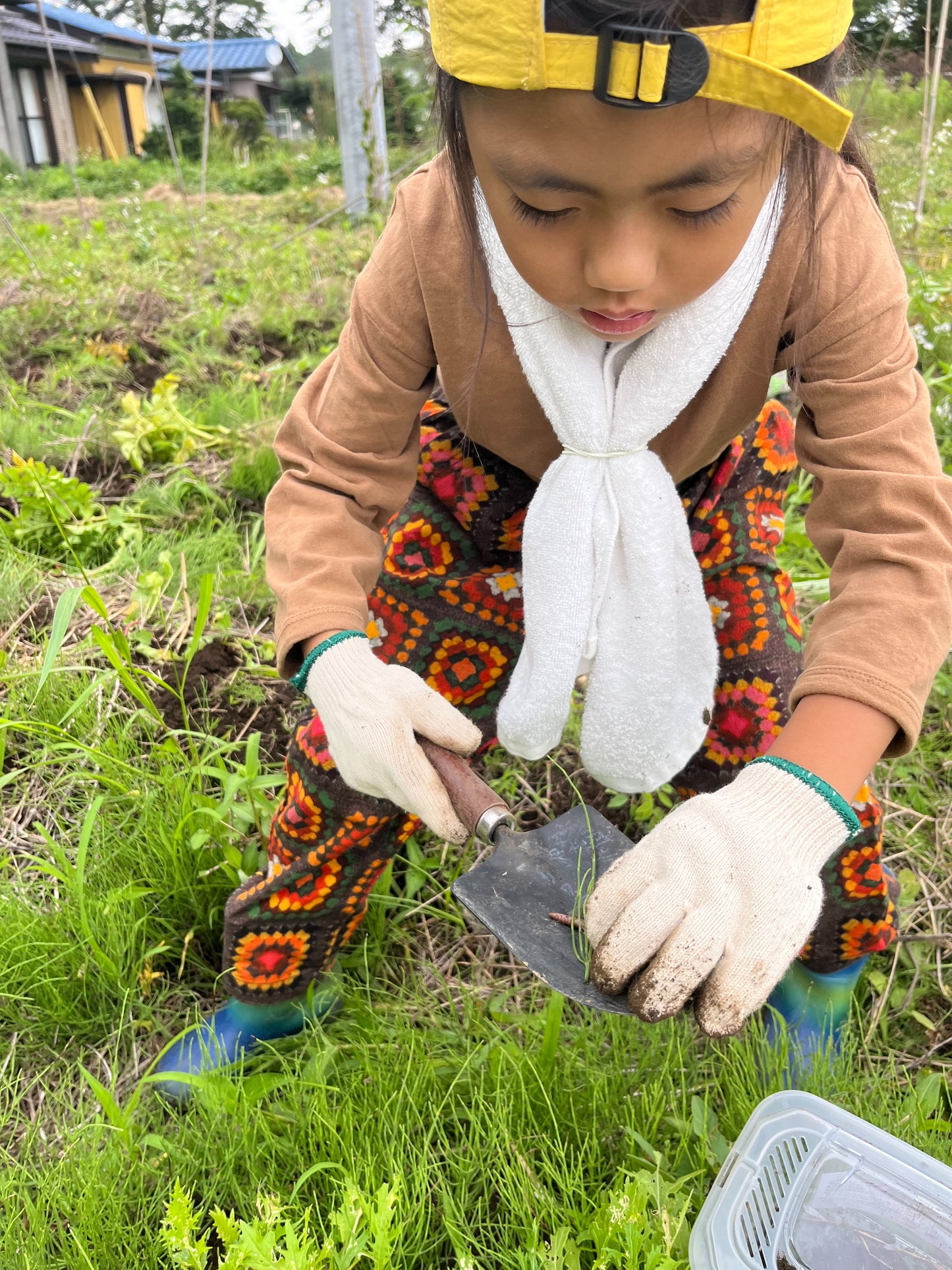 🍠【35名限定】生産量日本一！茨城県で味わう、本当の焼き芋まつり