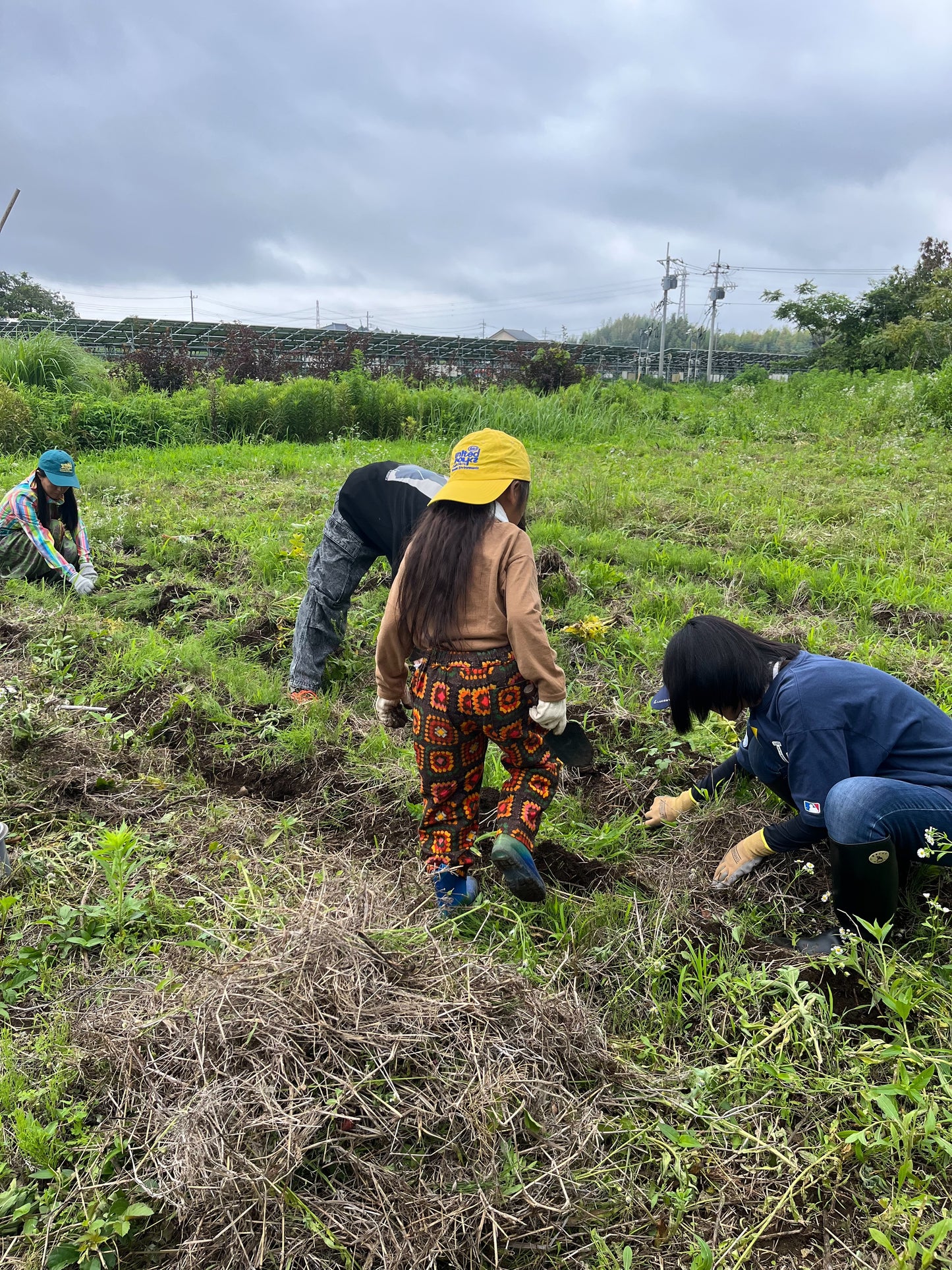 🍠【35名限定】生産量日本一！茨城県で味わう、本当の焼き芋まつり
