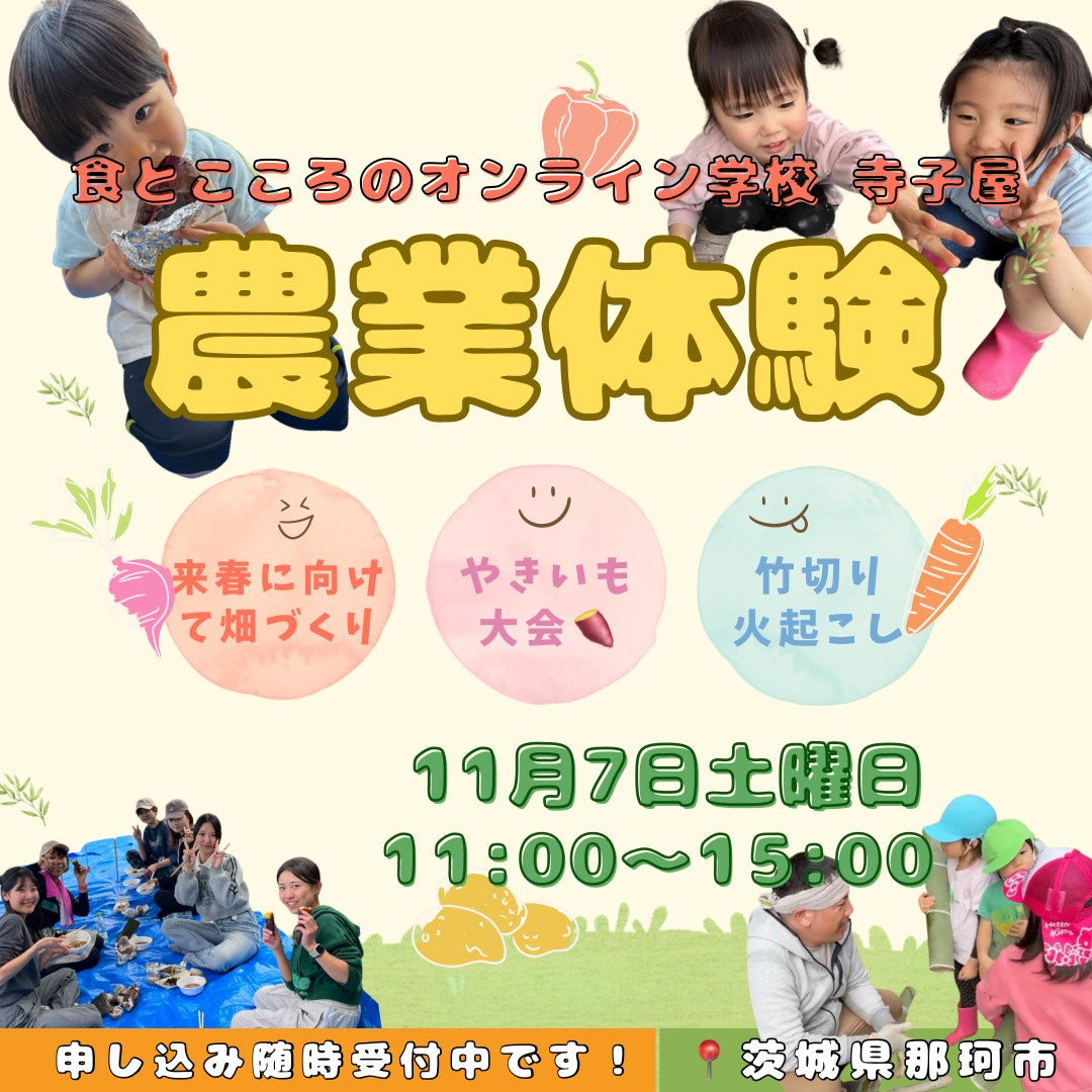 第10回 11月7日開催 農業体験 食とこころのオンライン学校「寺子屋」秋の焼き芋まつり🍠